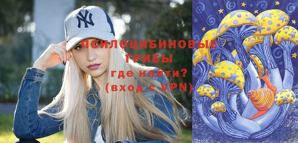 дмт Алзамай