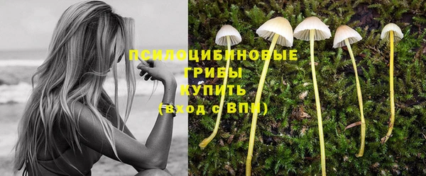 дживик Алексин