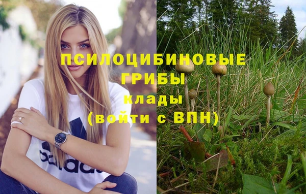 дмт Алзамай