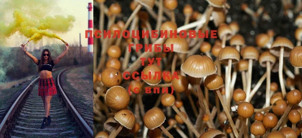 дживик Алексин